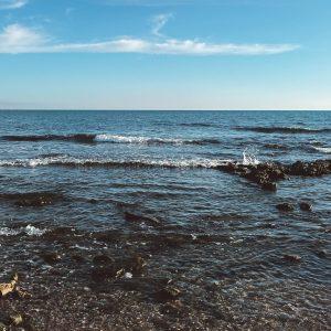 le onde del mare