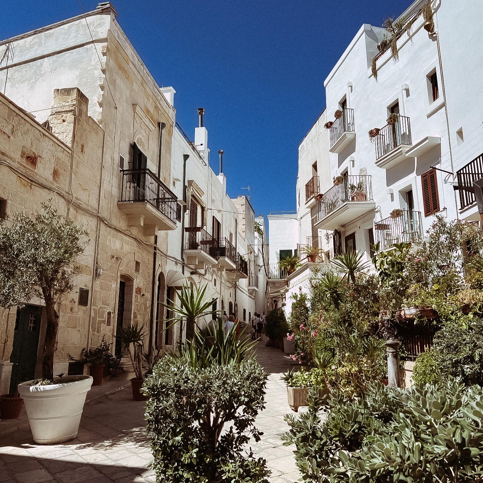 viaggiare consapevole. centro storico di Polignano a Mare, palazzetti bianchi con in primo piano piante verdei in una giornata di sole di luglio.